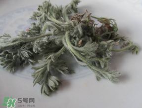 白蒿能治黃疸嗎？白蒿水可以治黃疸嗎？