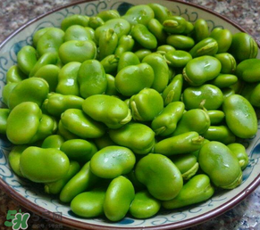 蠶豆多少錢一斤？蠶豆多少錢一斤2017？