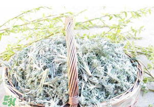 白蒿要焯水嗎？白蒿要不要焯水？