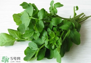 西洋菜是涼性的嗎？西洋菜是性寒的菜嗎