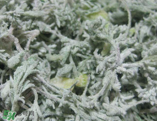 白蒿不能和什么一起吃？白蒿不能與什么同食？