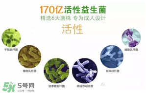 益生菌哪個牌子好？哪個牌子的益生菌好？