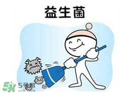 益生菌哪個牌子好？哪個牌子的益生菌好？