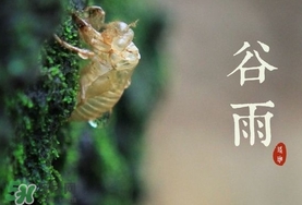 谷雨養(yǎng)生吃什么？谷雨養(yǎng)生常識