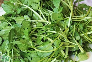 西洋菜是什么菜？西洋菜是什么樣的