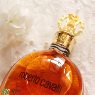 roberto cavalli是什么牌子？羅伯托卡沃利是幾線什么檔次？