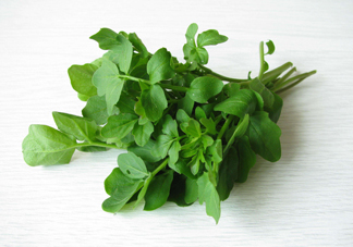 西洋菜是什么菜？西洋菜是什么樣的