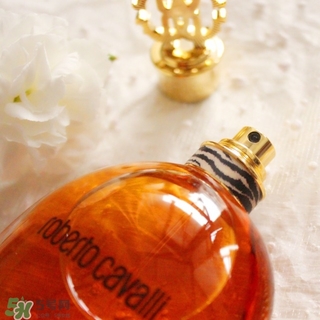 roberto cavalli是什么牌子？羅伯托卡沃利是幾線什么檔次？