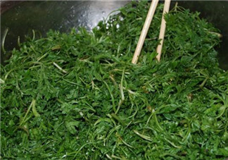 白蒿孕婦能吃嗎？孕婦可以吃白蒿嗎？