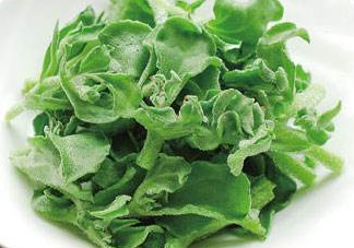 冰菜為什么會酸？冰菜為什么是咸的？