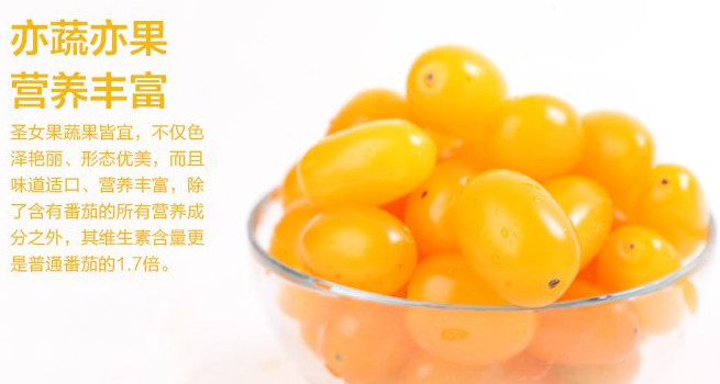 圣女果能減肥嗎？圣女果可以減肥嗎