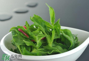 冰草可以放冰箱嗎？冰草能用冰塊保存嗎？