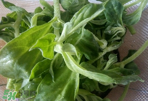 冰草為什么咸？冰草怎吃不咸？