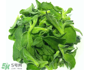 冰草為什么咸？冰草怎吃不咸？