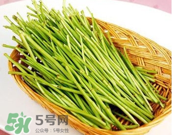 蘆蒿與茼蒿有什么區(qū)別？蘆蒿和茼蒿的區(qū)別