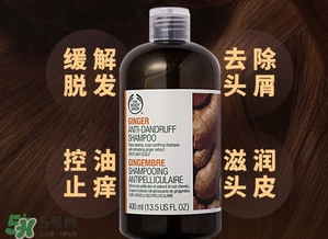 美體小鋪生姜洗發(fā)水怎么樣？the body shop生姜洗發(fā)水使用心得