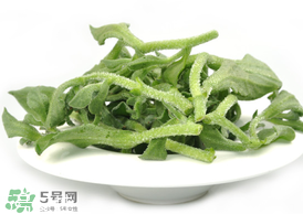 ?冰草為什么會(huì)酸？冰草為什么是酸的？