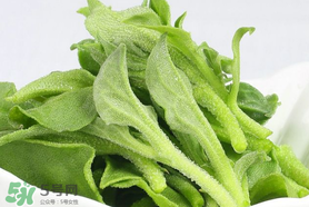 孕婦可以吃冰草嗎？冰草對孕婦有什么好處？