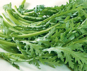 蘆蒿要焯水嗎？蘆蒿要不要焯水