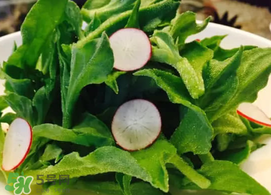 冰草可以生吃嗎？冰草生吃什么味道？