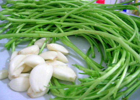 泥蒿的葉子可以吃嗎？泥蒿的葉子能不能吃