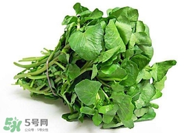 哺乳期能吃西洋菜嗎？哺乳期可以吃西洋菜嗎