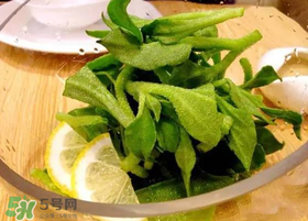 冰草用什么醬？冰草用什么醬好吃？