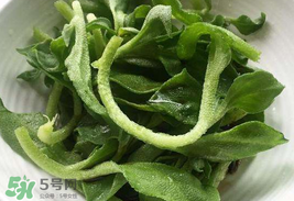 冰菜為什么會(huì)酸？冰菜為什么是咸的？