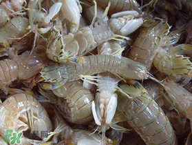 蝦爬子死了能吃嗎？蝦爬子死能放多久？