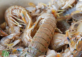 蝦爬子死了能吃嗎？蝦爬子死能放多久？