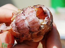 蝦爬子什么季節(jié)最肥？蝦爬子幾月份最肥？