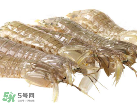 蝦爬子什么季節(jié)最肥？蝦爬子幾月份最肥？