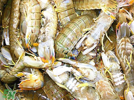 蝦爬子什么季節(jié)最肥？蝦爬子幾月份最肥？