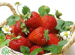 蝦爬子和草莓能一起吃嗎？吃完蝦爬子能吃草莓嗎？