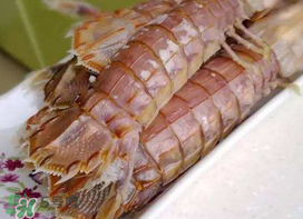 蝦爬子能冷凍嗎？蝦爬子可以冷藏嗎？