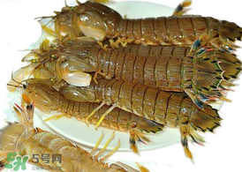 蝦爬子能冷凍嗎？蝦爬子可以冷藏嗎？