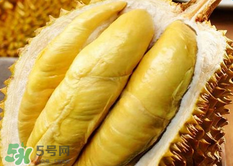 孕婦可吃榴蓮嗎 孕婦能吃榴蓮嗎 孕婦可吃榴蓮嗎 孕婦能吃榴蓮嗎