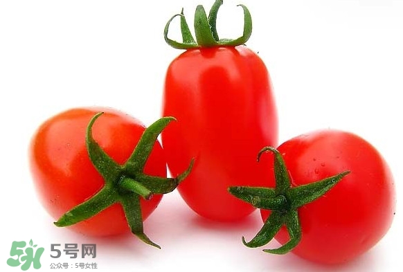 圣女果是什么？圣女果是西紅柿嗎