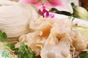 2017象拔蚌多少錢一斤？象拔蚌多少錢一斤2017？