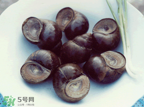 田螺不能和什么一起吃？田螺和什么不能一起吃？