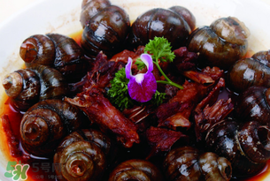 田螺不能和什么一起吃？田螺和什么不能一起吃？