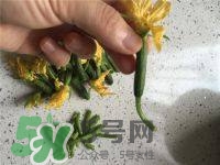 黃瓜花能吃嗎？黃瓜花怎么吃