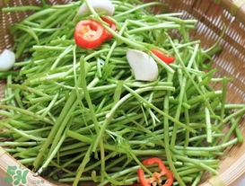 泥蒿怎么做好吃？泥蒿做法