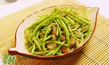 蘆蒿怎么摘？蘆蒿怎么擇