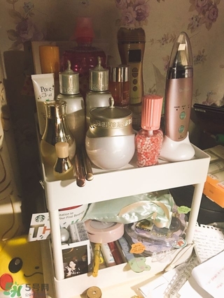 資生堂悅薇和怡麗絲爾哪個(gè)好？資生堂悅薇和怡麗絲爾對(duì)比