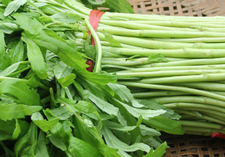 泥蒿的葉子可以吃嗎？泥蒿的葉子能不能吃