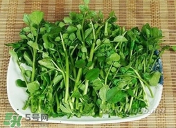 哺乳期能吃西洋菜嗎？哺乳期可以吃西洋菜嗎