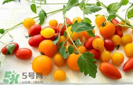 圣女果是轉(zhuǎn)基因的嗎？圣女果轉(zhuǎn)基因食品嗎