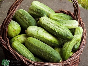 黃瓜根能吃嗎？黃瓜根可以吃嗎？