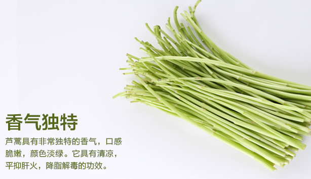 蘆蒿是發(fā)物嗎？蘆蒿是不是發(fā)物